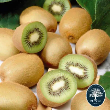 Kiwi