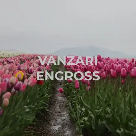 Vanzari Engross